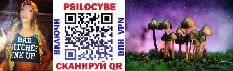 где купить наркоту  Щучье  Галлюциногенные грибы мухоморы 
