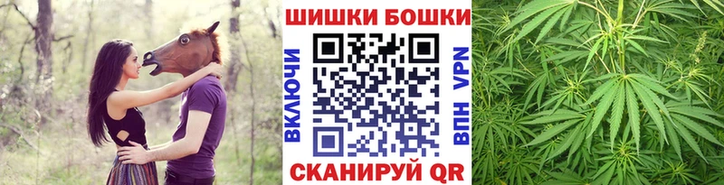 мориарти как зайти  Щучье  Марихуана тримм  дарнет шоп 